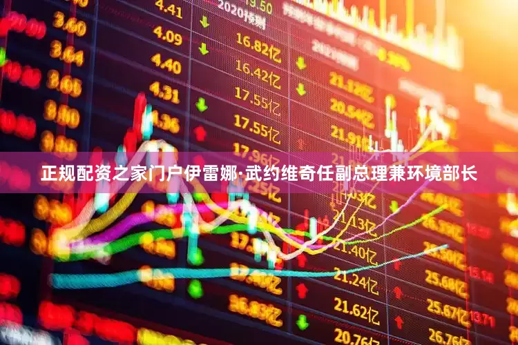 正规配资之家门户伊雷娜·武约维奇任副总理兼环境部长
