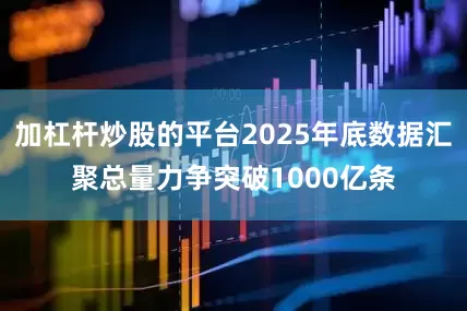 加杠杆炒股的平台2025年底数据汇聚总量力争突破1000亿条