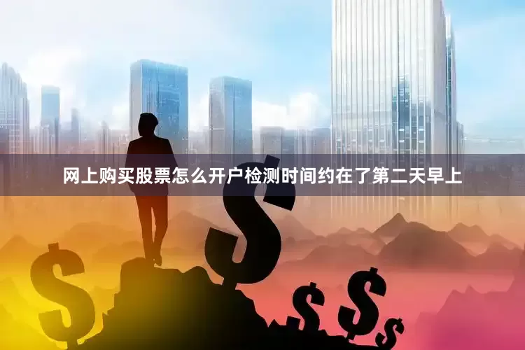 网上购买股票怎么开户检测时间约在了第二天早上